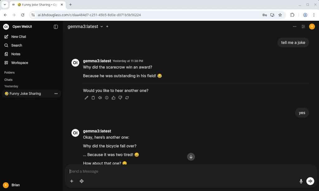 The Open WebUI chat interface