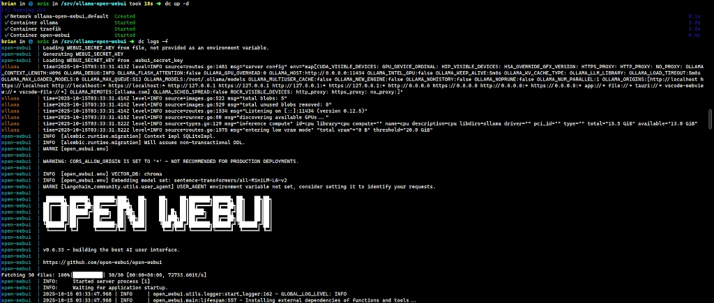 Output from the Open WebUI docker container